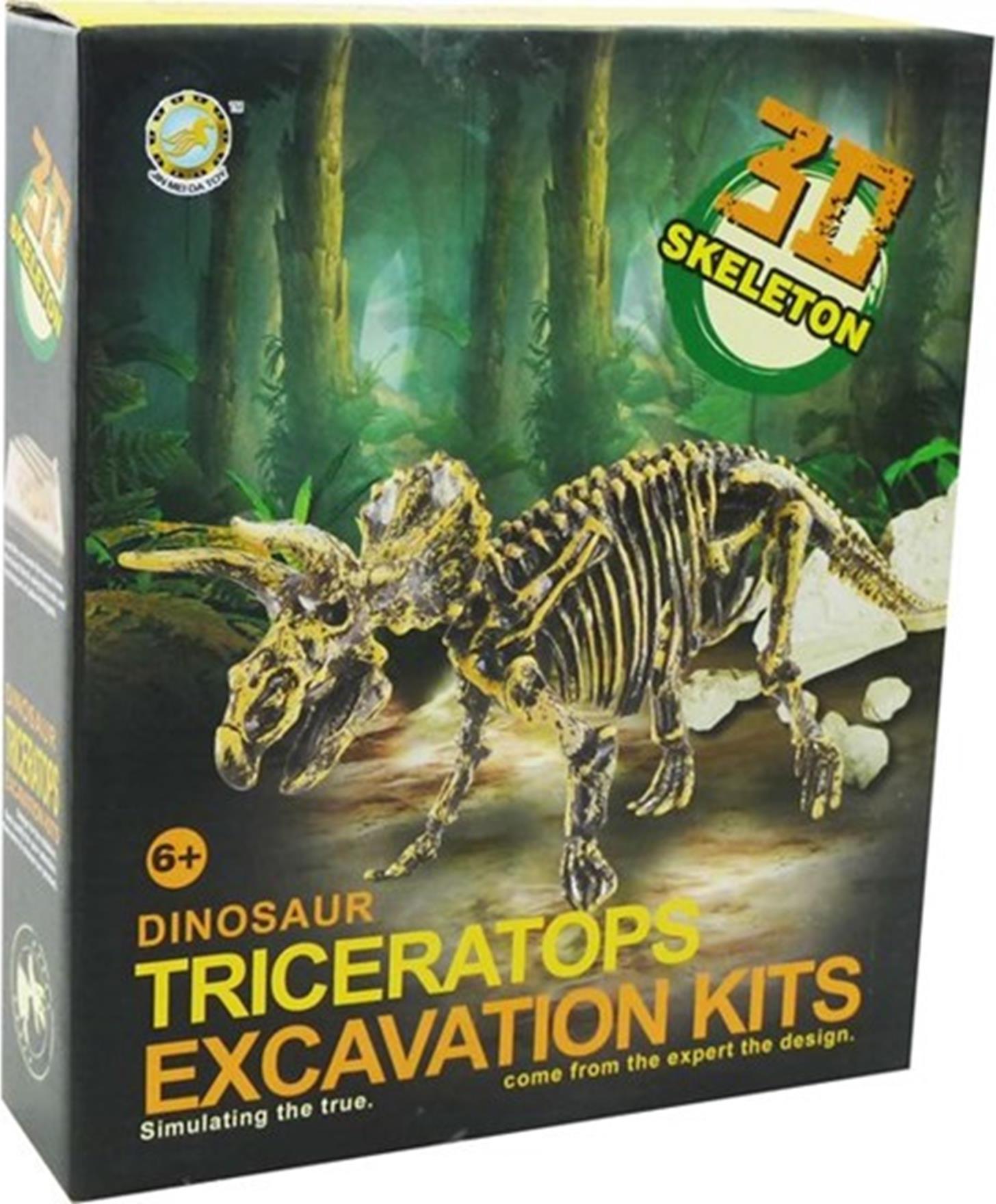 Aro schnitzt ein Dinosaurierskelett, einen Triceratops, 23 cm