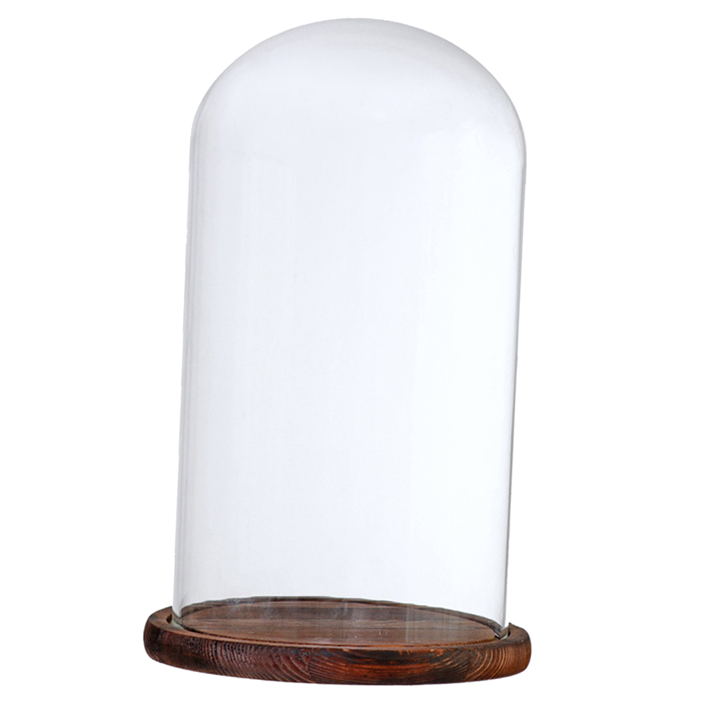 1 x Schauglas Glassturz aus Glas Läge 98 mm x Aussen Ø 33,5 mm innen Ø 30,6 mm 