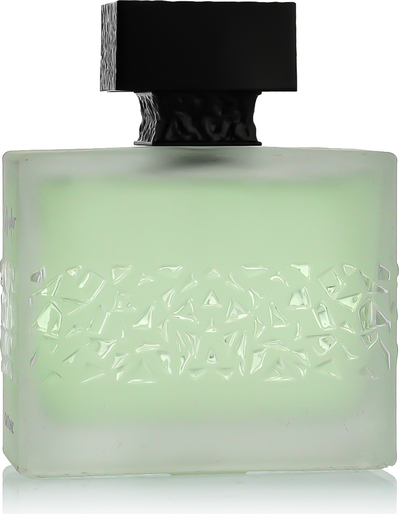 M.Micallef GNTONIC parfumovaná voda pánska 100 ml