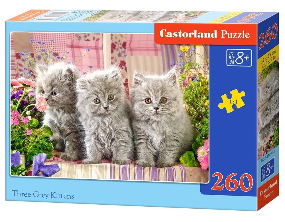 Castorland Three Grey Kittens, Puzzle 260 Teile WLP-Castorland-27491