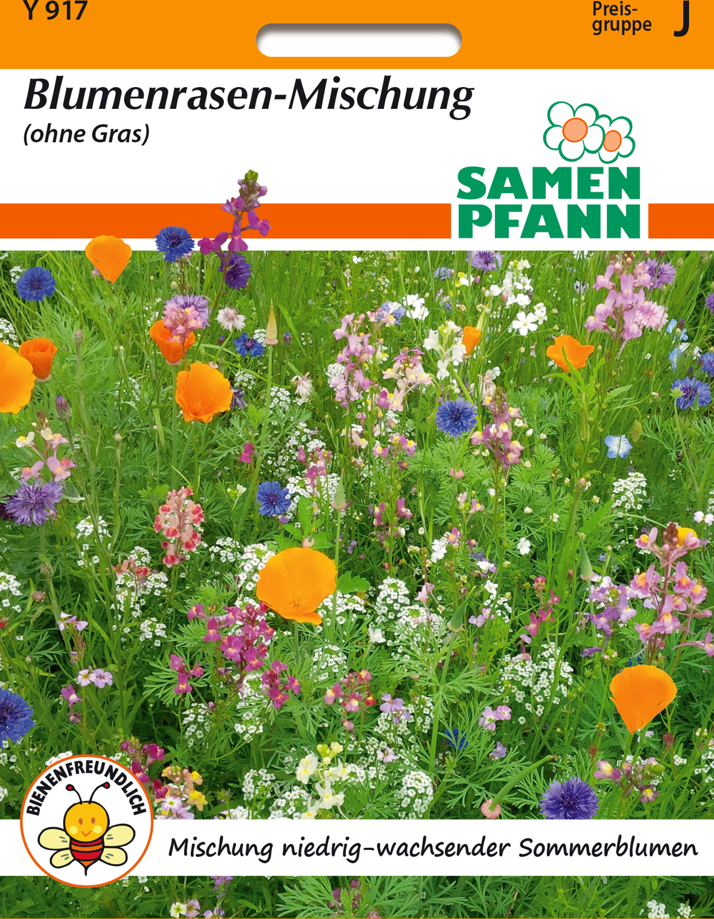 Blumenrasenmischung | Blumenrasen von Samen Pfann Y917-sp