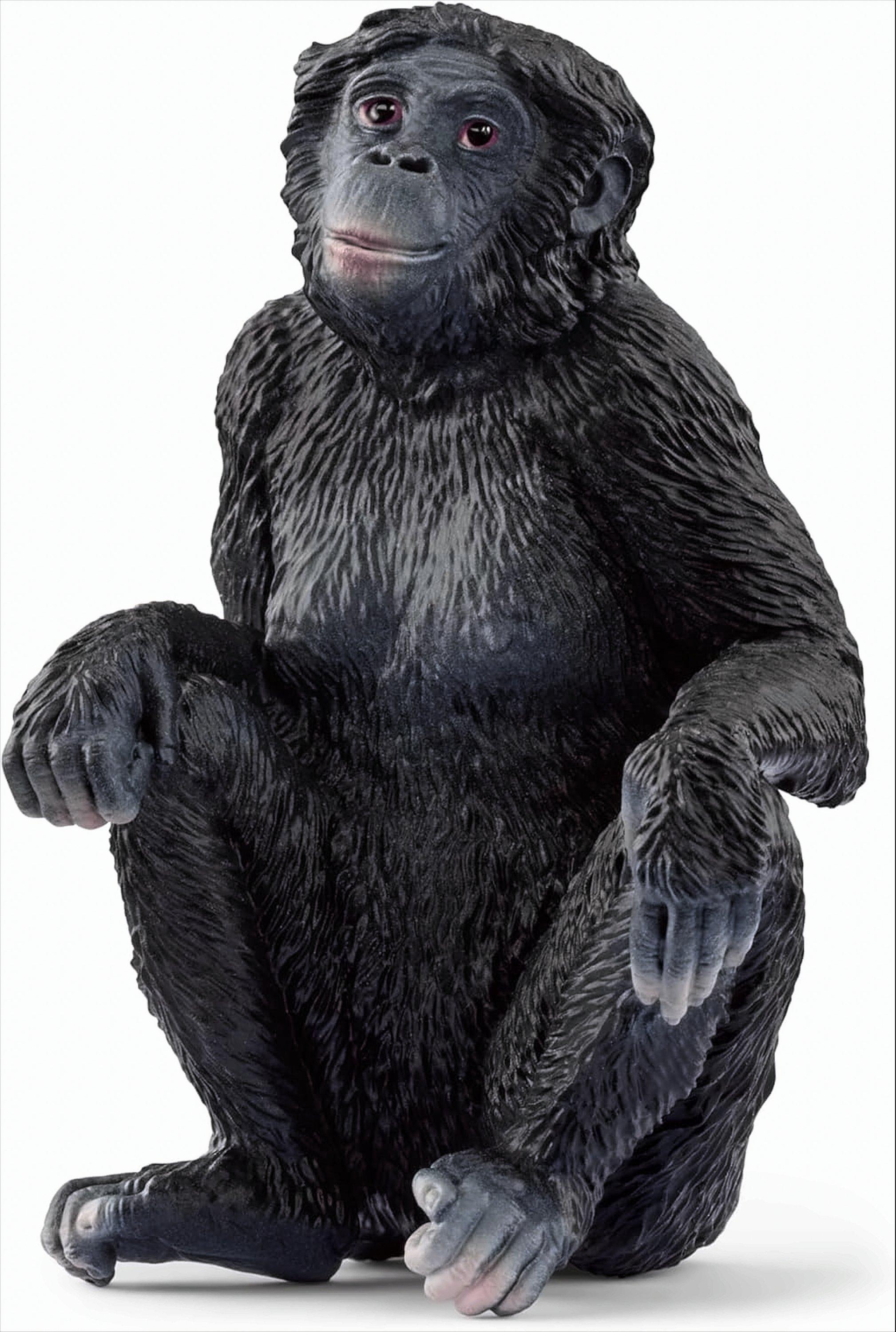 Schleich Wild Life 14875 Bonobo Weibchen