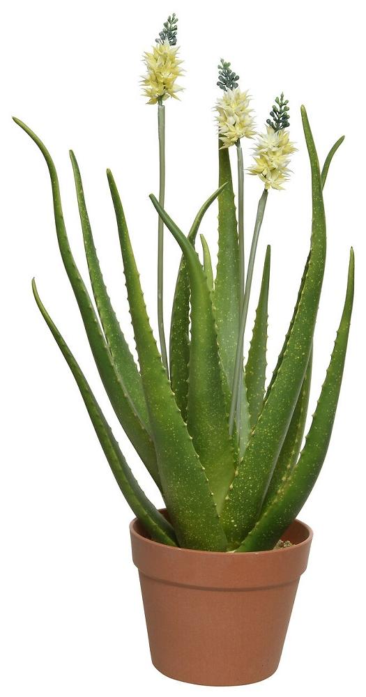 Kaemingk Kunstpflanze Agave Polyester grün H 60 cm Ø 13 cm 801207