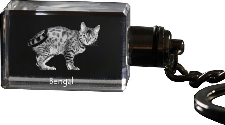Bengalisch - Wanduhr mit Katze, Regal Uhr mit Druck, personalisierte Hausdekoration von Art-Dog.