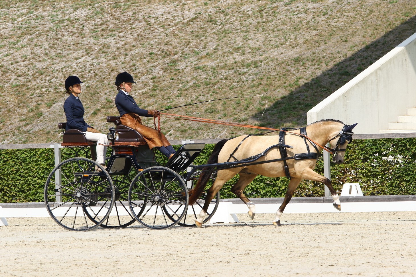 Zilco Einspännergeschirr "Classic Einspänner Set" Pony Zilco Einspännergeschirr Classic