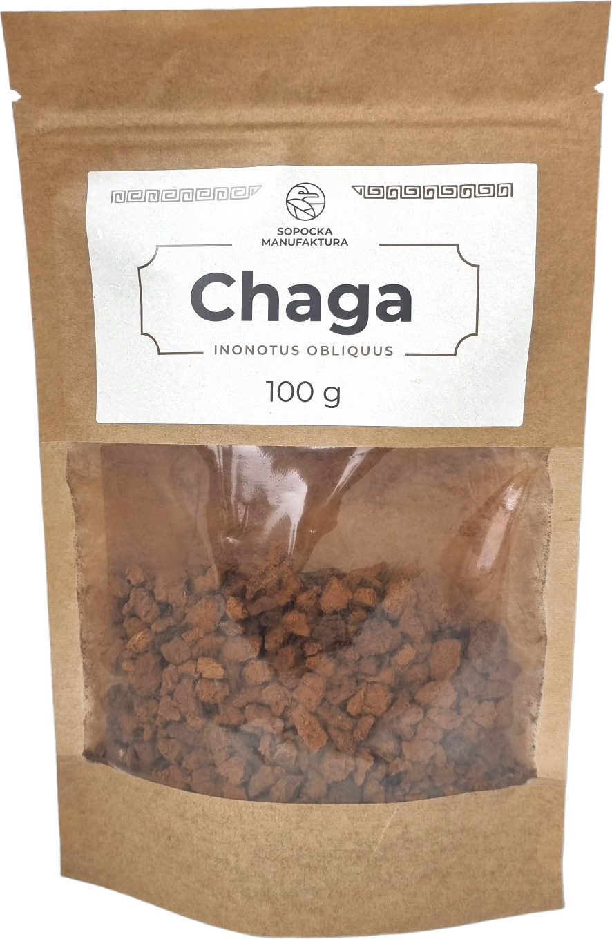 Terragem Chaga 100g Getrocknet, Vitalpilz, 100% Natürlich, Chaga-Pilz, Chaga Brocken in Rohkostqualität, Chaga Pilz Tee & Chaga Kaffee, Chaga Pilze PREMIUM