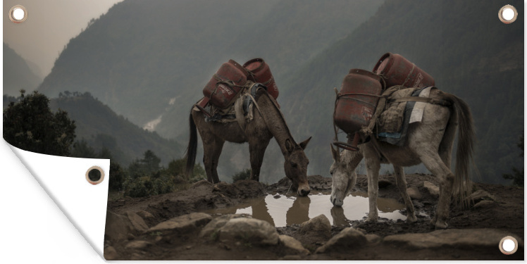 MuchoWow® 80x40 cm Outdoor-Poster Gartendeko Sichtschutz Garten Poster für den Garten Esel auf einem Bergpfad 133|400616683