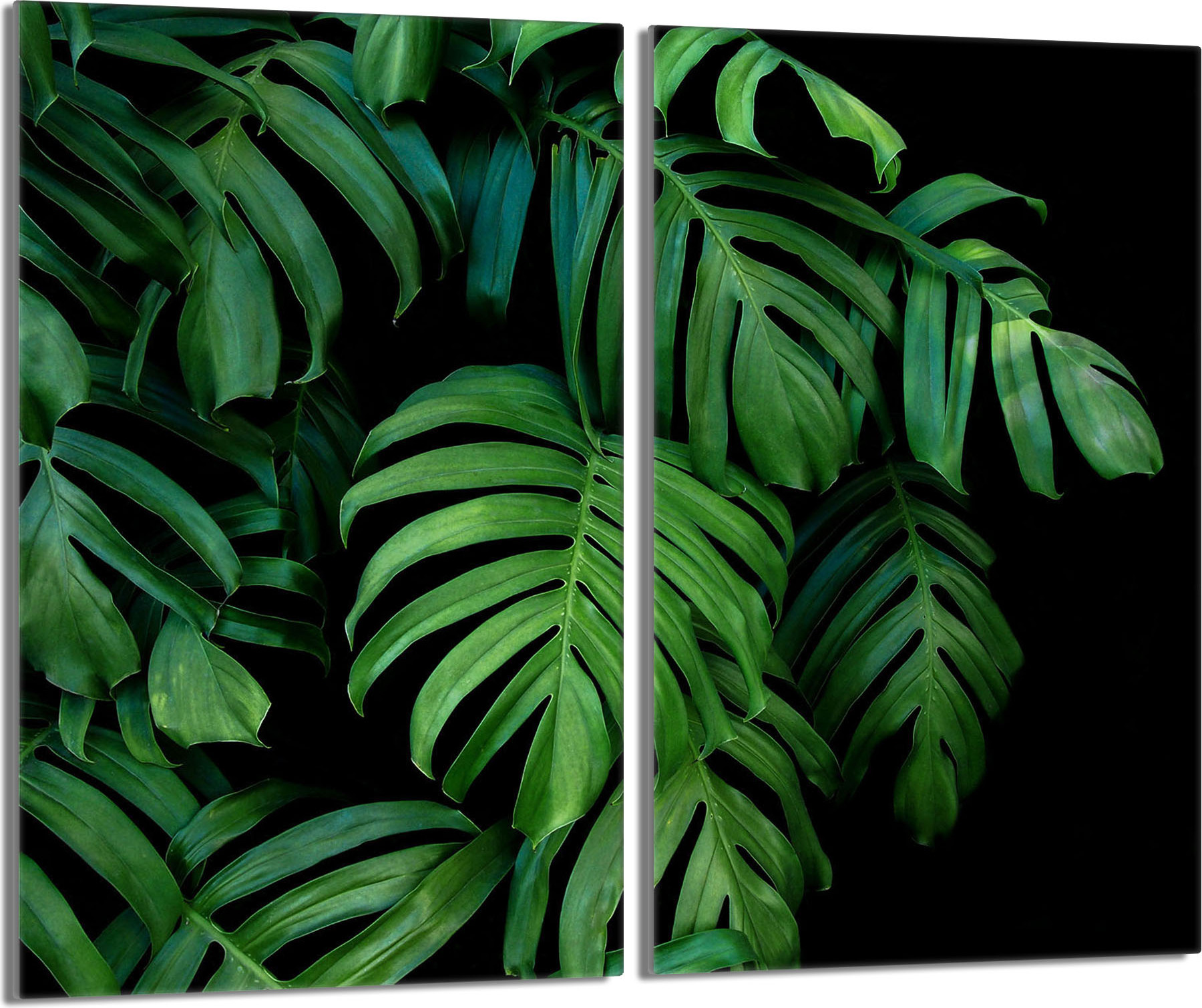 TMK ArtDeko Glas-Herdplattenschutz 2x30x52 Monstera
