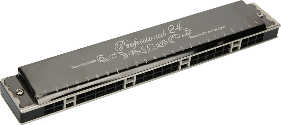 Cocosity Mundharmonika,Professionelle Mundharmonika,Mundharmonika,Diatonische Harfe,Musikalische Hilfsmittel KS-24P