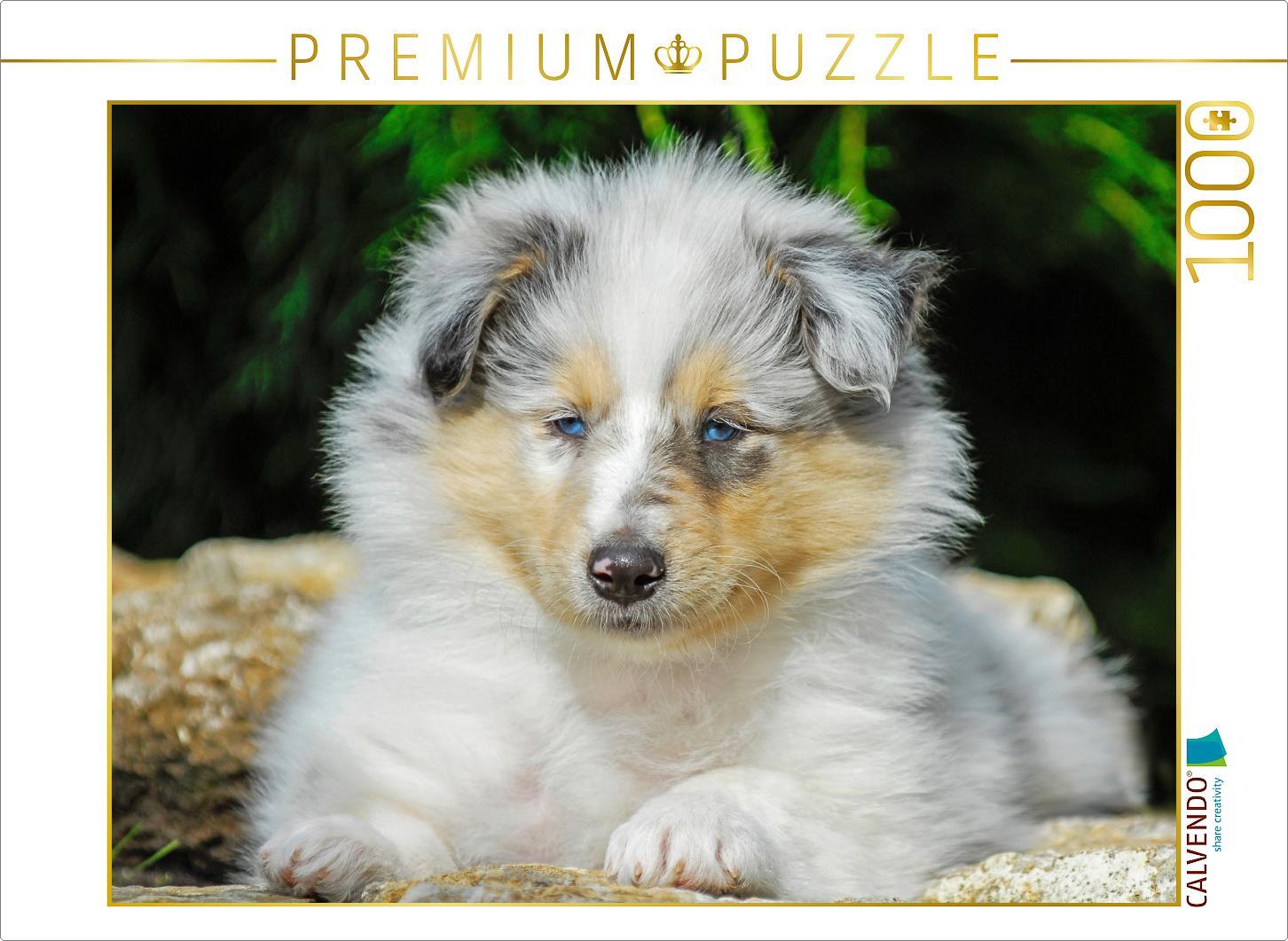 CALVENDO Puzzle Ein entzückender kleiner Rüde | 1000 Teile Lege-Größe 64 × 48 cm Foto-Puzzle für glückliche Stunden