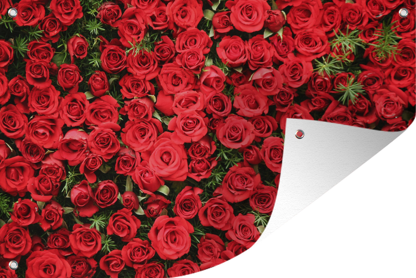 MuchoWow® 90x60 cm Outdoor-Poster Gartendeko Sichtschutz Garten Poster für den Garten Rosen - Rot - Strauch 133|17290380