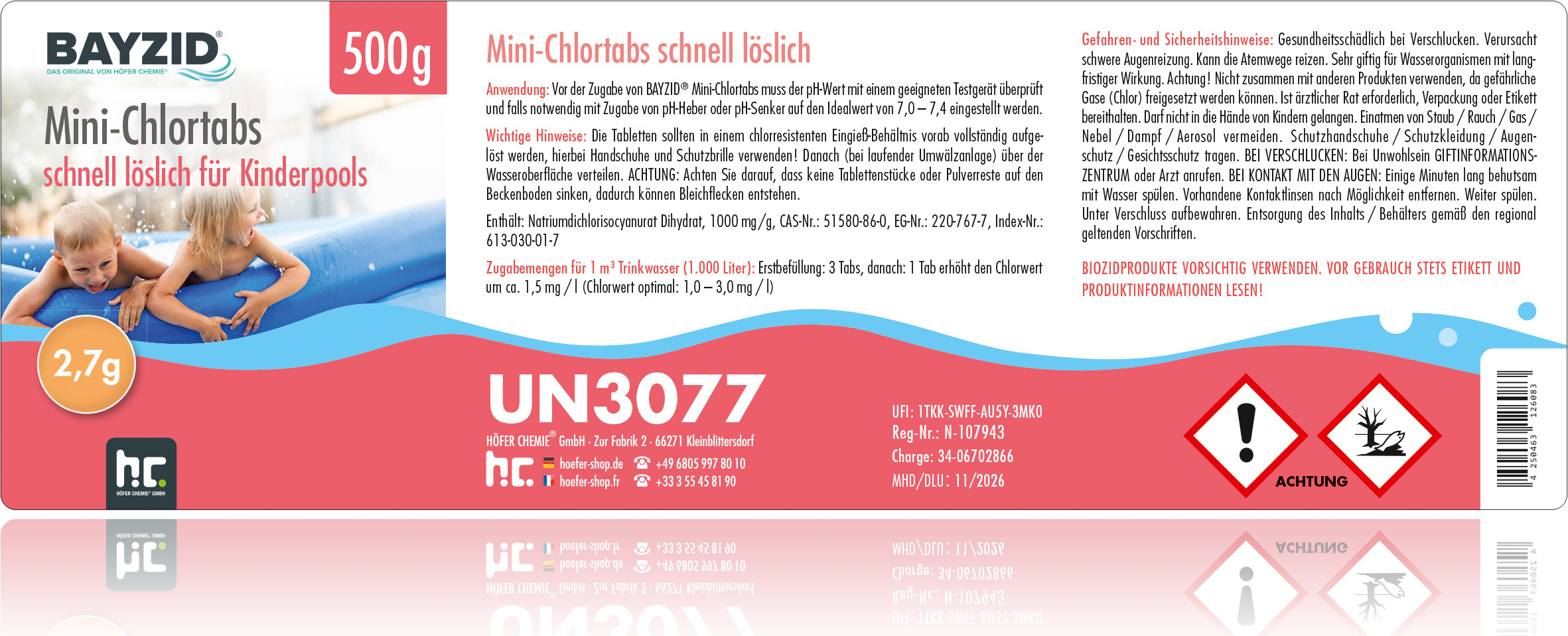 Höfer Chemie 1xBAYZID® Kinderpool Pflege-Set