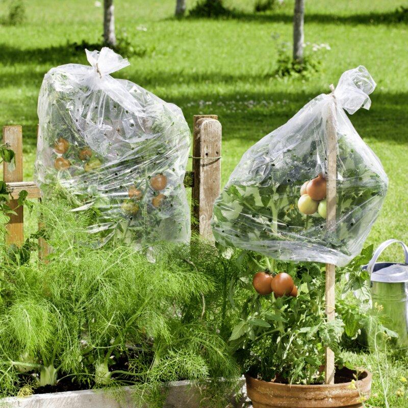 Windhager Tomaten Folienschlauch für 5-7 Tomatenstöcke weiß