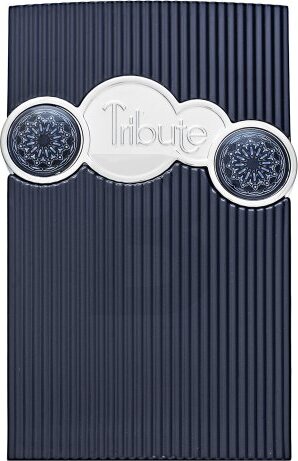 Afnan Tribute Blue parfémovaná voda pre mužov 100 ml