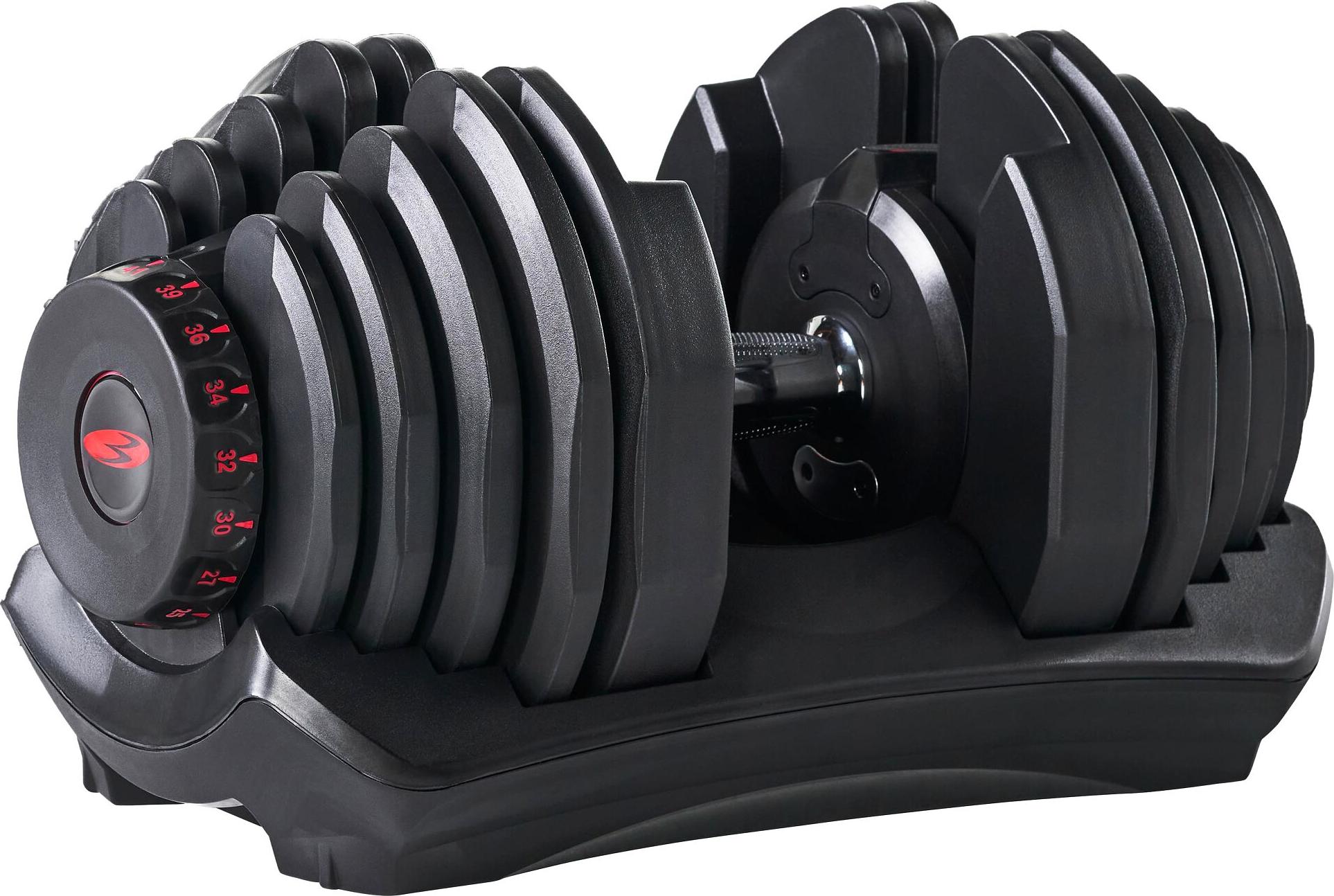 Bowflex Kurzhantel 