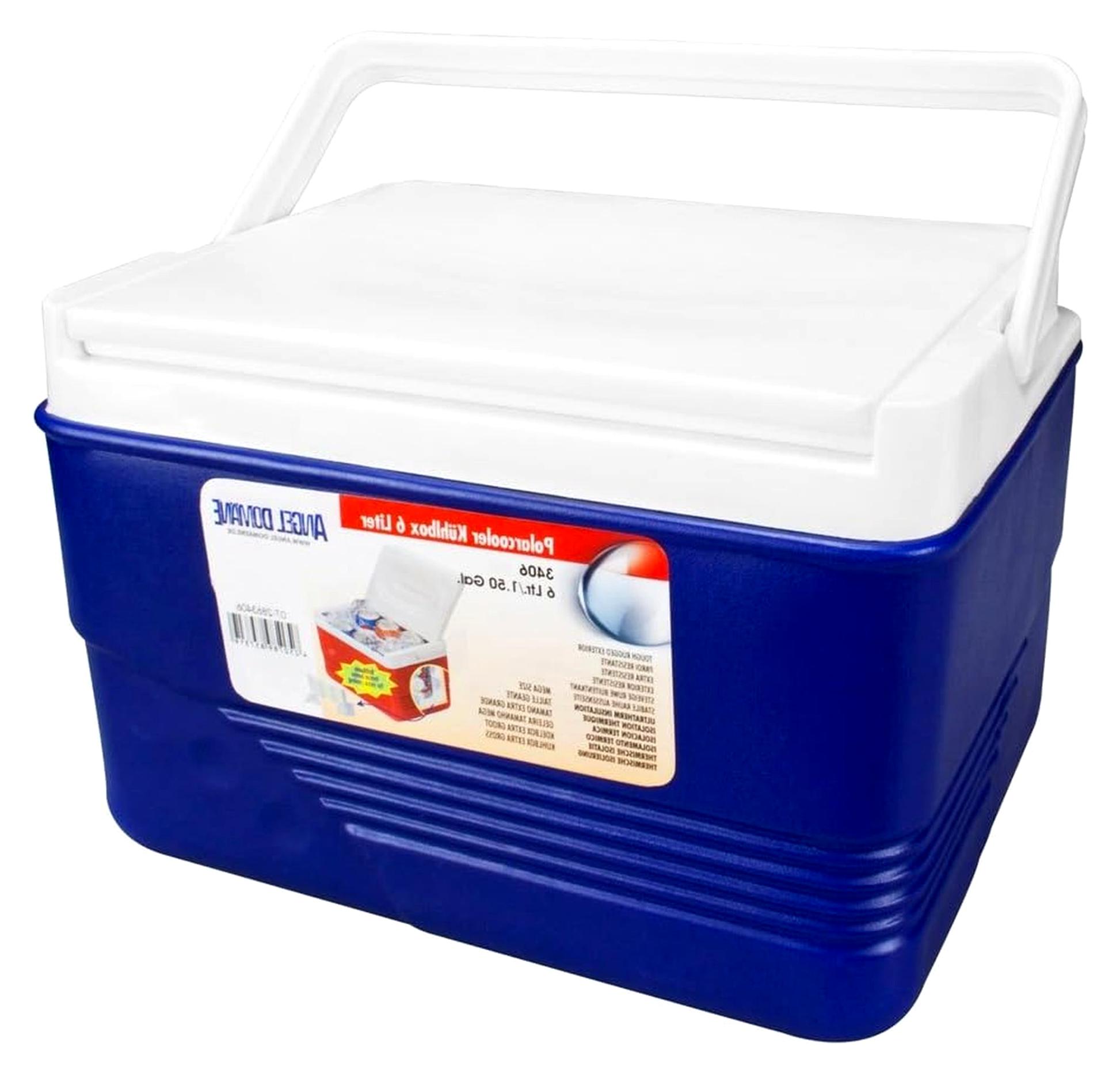 Markenlos Kühlbox 6 Liter, Blau, Außenmaße 28,2x21,3x19,2 cm, Innenmaße 23x17,5x15 cm