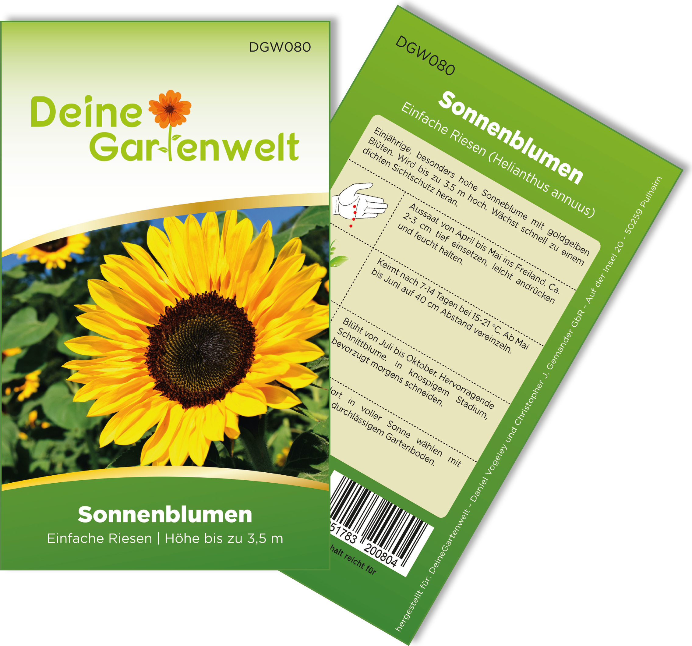Sonnenblumen-Mix Bio-Saatgut - Ca. 50 Samen, 3 Sorten, Samenfest