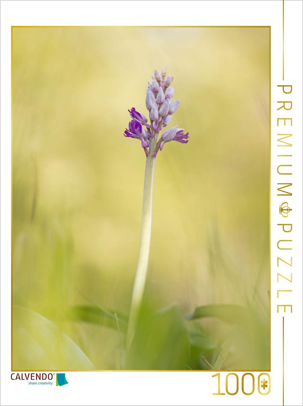 CALVENDO Puzzle Helm-Knabenkraut 1000 Teile Puzzle hoch | 1000 Teile Lege-Größe 64x48cm Foto-Puzzle für glückliche Stunden