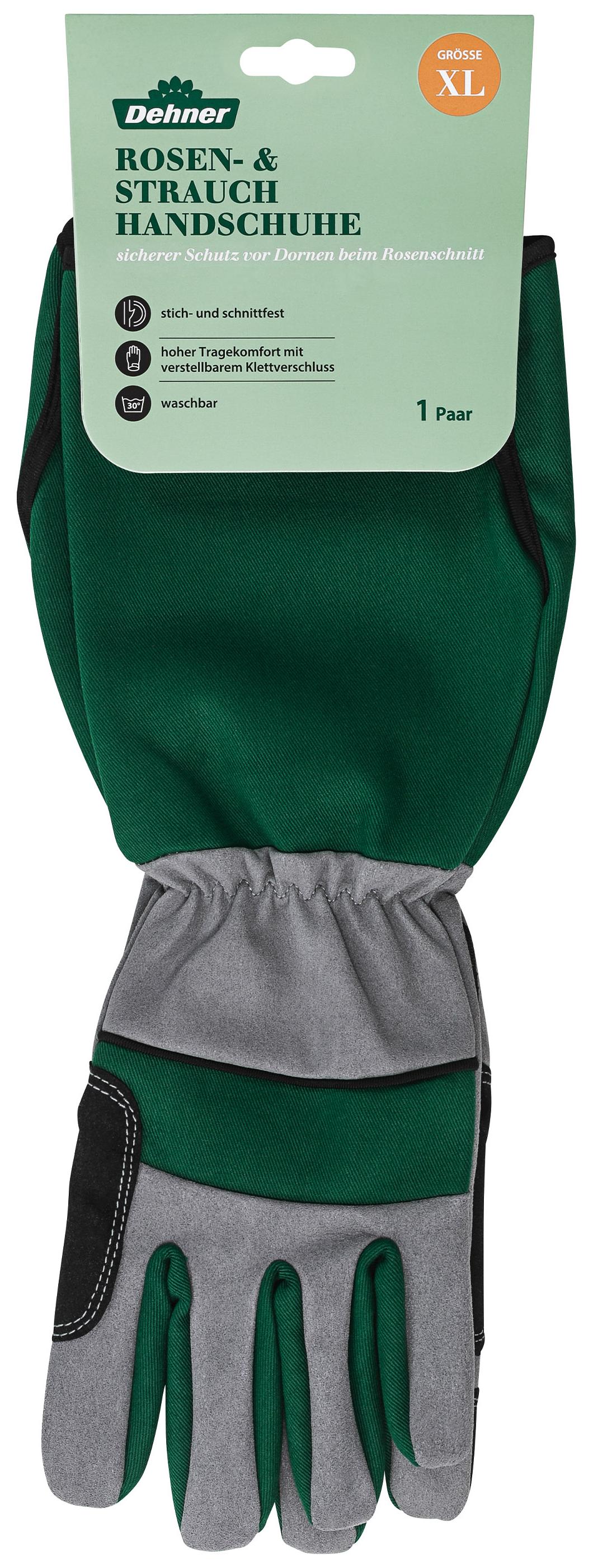stange für hängematte Bakaji den Garten, Doppelbett, 2 Sitzer, 232 x 148 cm, transparente Stangen aus Holz, Bezug aus Baumwolle mit 2 Kissen und Gurten, modernes Design, für Garten, Terrasse, Camping (Beige) Garten Tactical Canine Goggles Belgian Category:Fahrräder_Shimano CS LG300 9  11 36t Color:Arkana Mirror Blue Lens