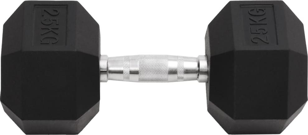 vidaXL Kurzhantel 25 kg Gusseisen 93610