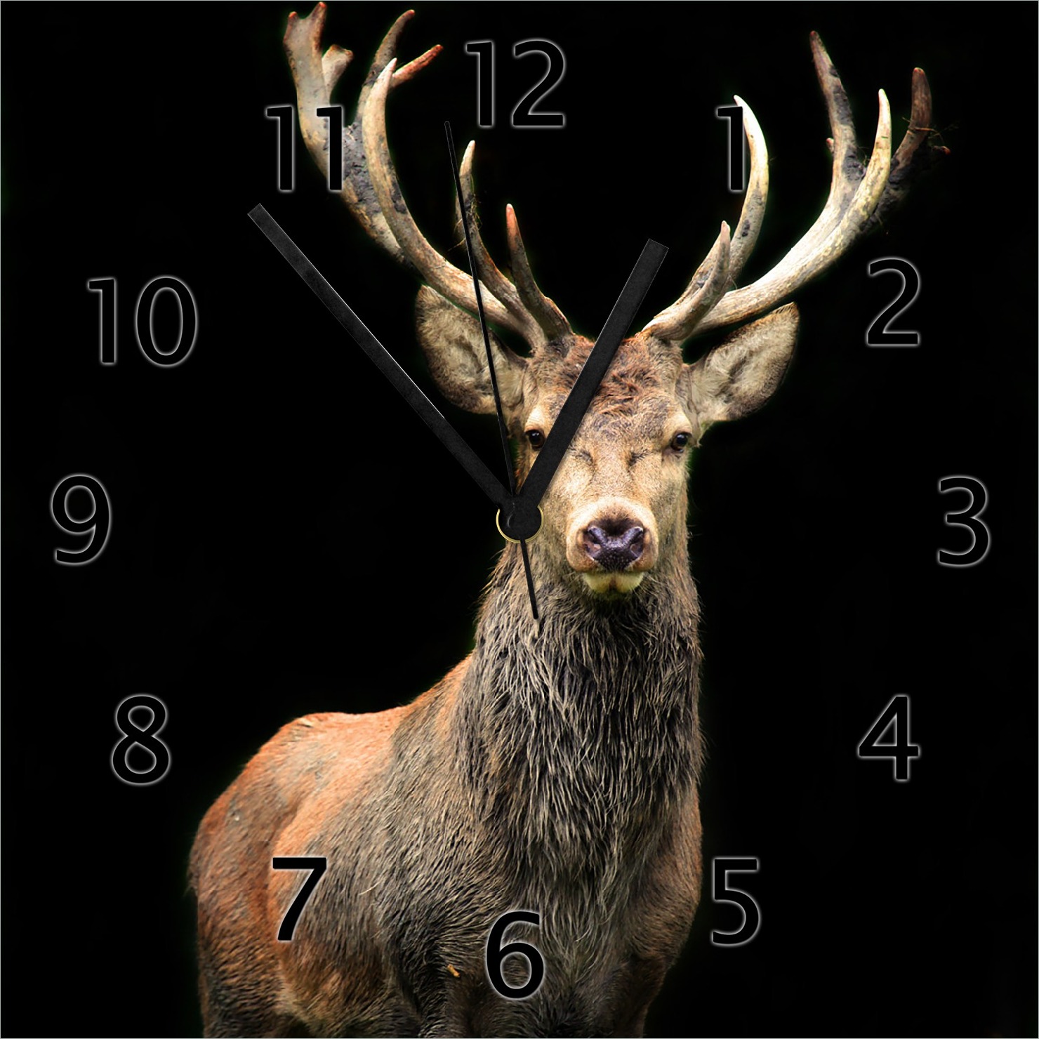 Wallario Design Wanduhr Stattlicher Rothirsch aus Echtglas, Größe 30 x 30 cm gugs0314-3030