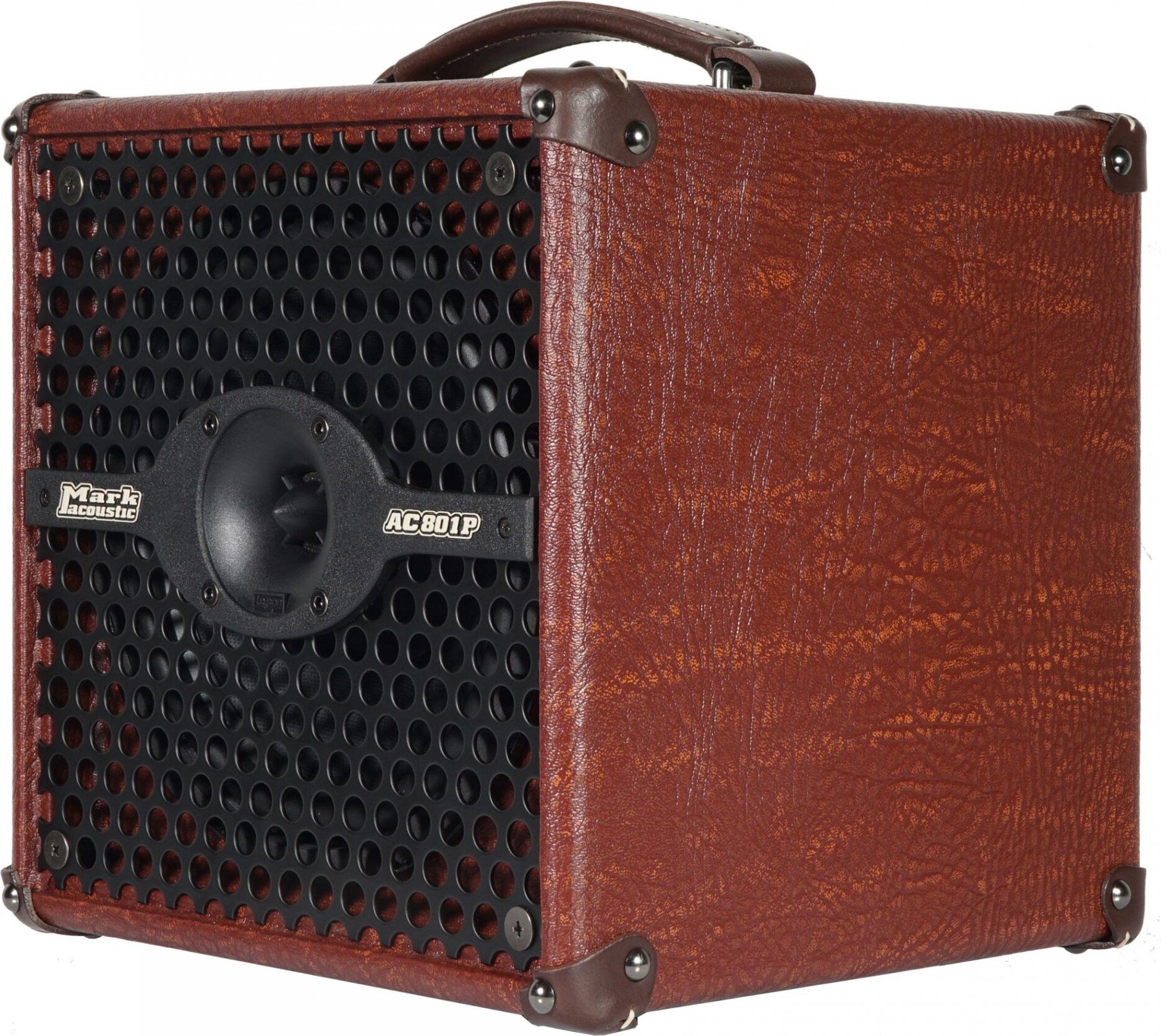 DV Mark Instrumentenverstärker AC 801P für akustische Instrumente, 8 Zoll Lautsprecher, 50 W, mit Hall, Aux-Eingang, XLR-Ausgang