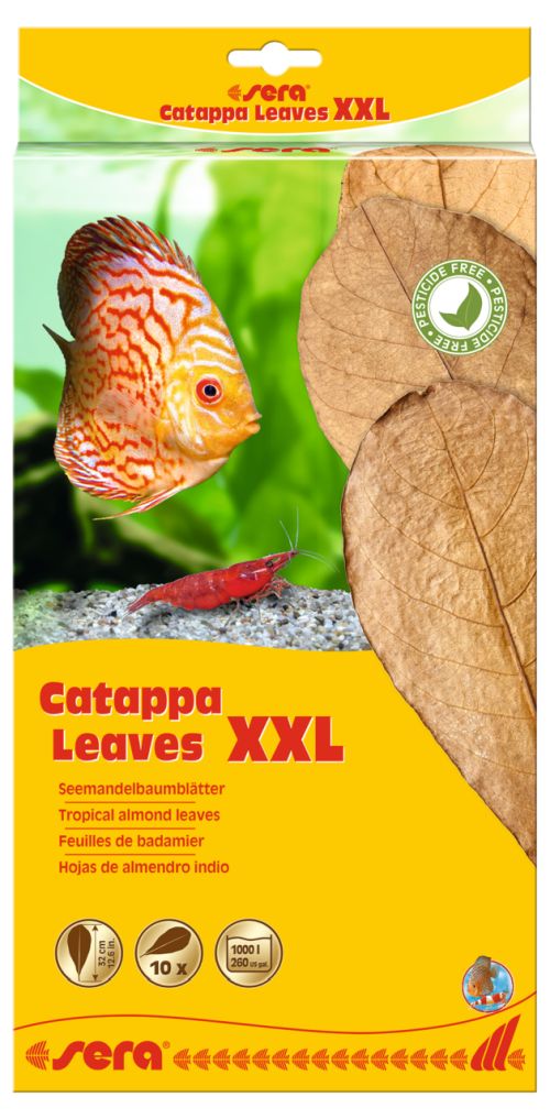 sera Catappa Leaves XXL 10 Stück NEW-58603