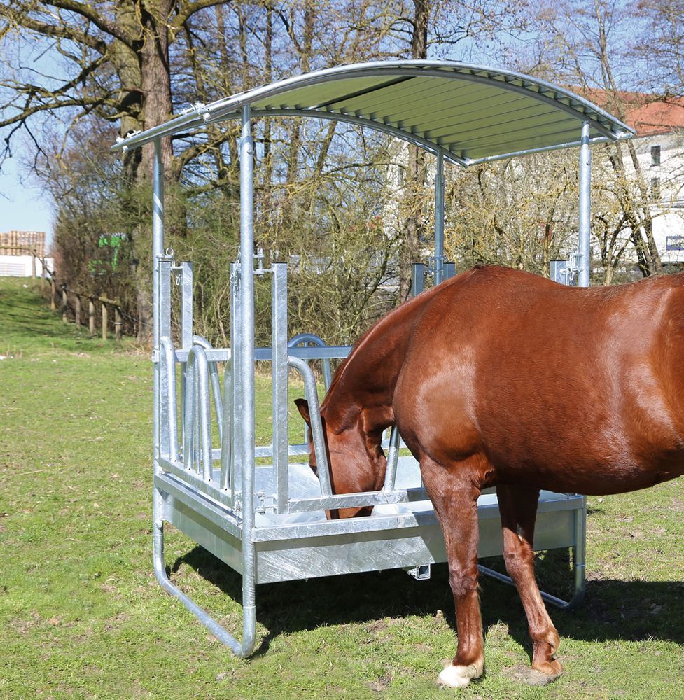 Icelandic Horse Stable Icelandic Horse Viereckraufe Hobby