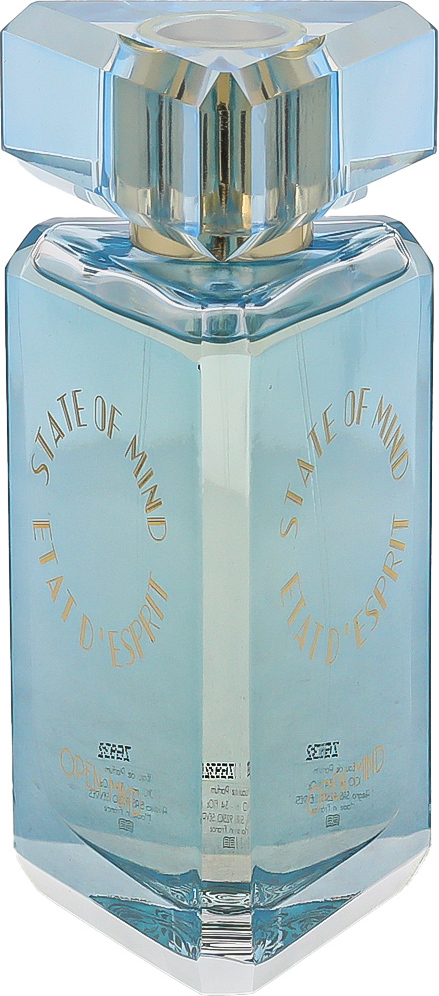 State of Mind Open Mind Parfém 100 ml UNISEX