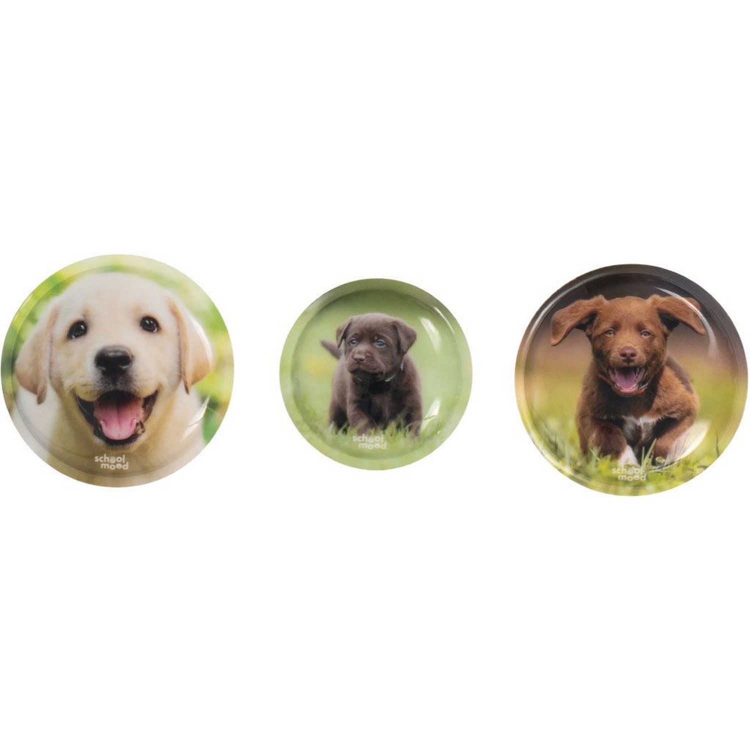 School-Mood 3er Patchy-Set Leni Hund 6504-104