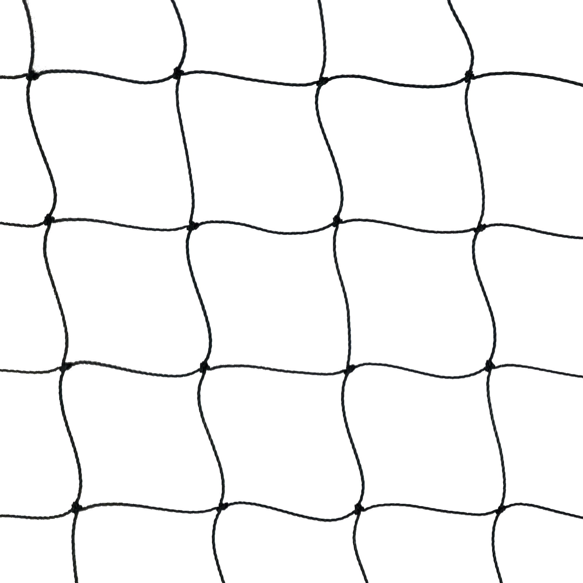 PieloBa Volierennetz Voliere Abdecknetz 10 m x 15 m Masche 5 cm schwarz Voliere Tiergehege V10001500s5