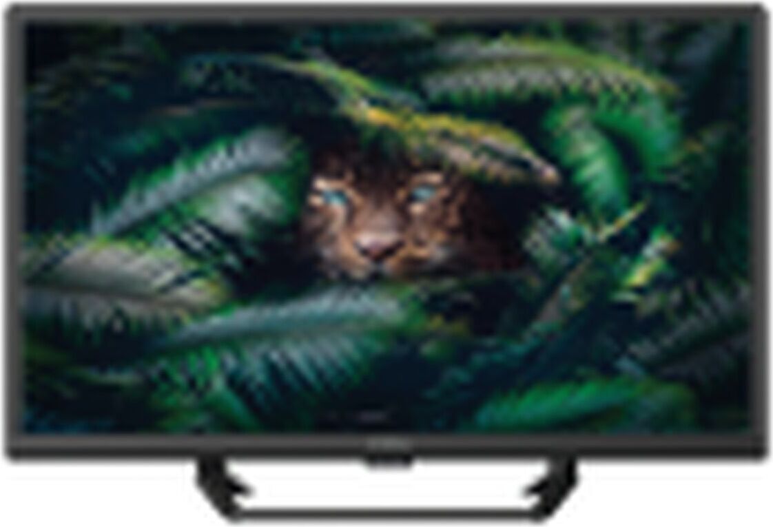Strong SRT 24HE4023C, 61 cm (24"), 1366 x 768 pixelov, HD, LCD, DVB-T2, DVB-C, DVB-S2, čierna