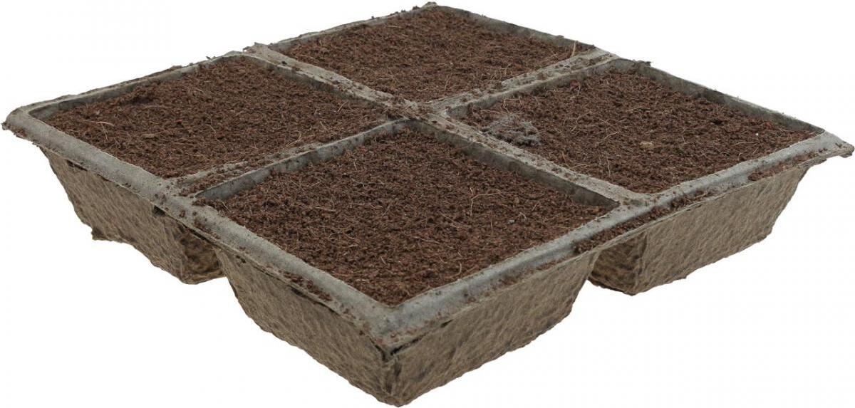 Viana Nachhaltige Steckmasse Kokosfaser OASIS® TerraBrick™ für Kreative Floristik, Dekoration und Trauerfloristik, Kompostierbar, 8 Stück 10-20500