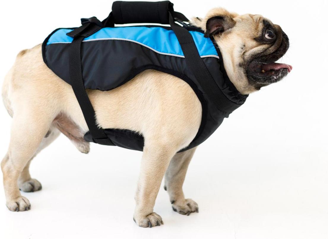 AVA DOGGY Schwimmweste Hund Hundeschwimmweste XL Blau