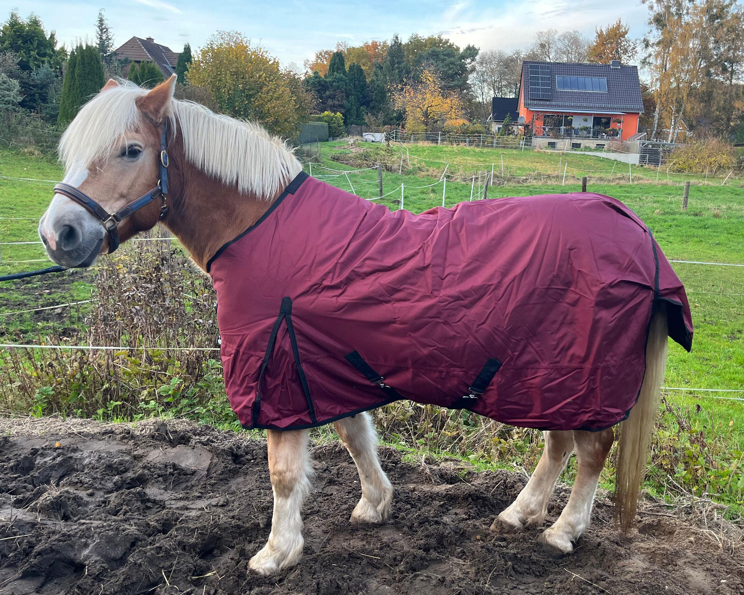 BRAMA WEST Winterdecke Red Winter - 1680D - 200g Größe (Pferdedecke) - 155 cm