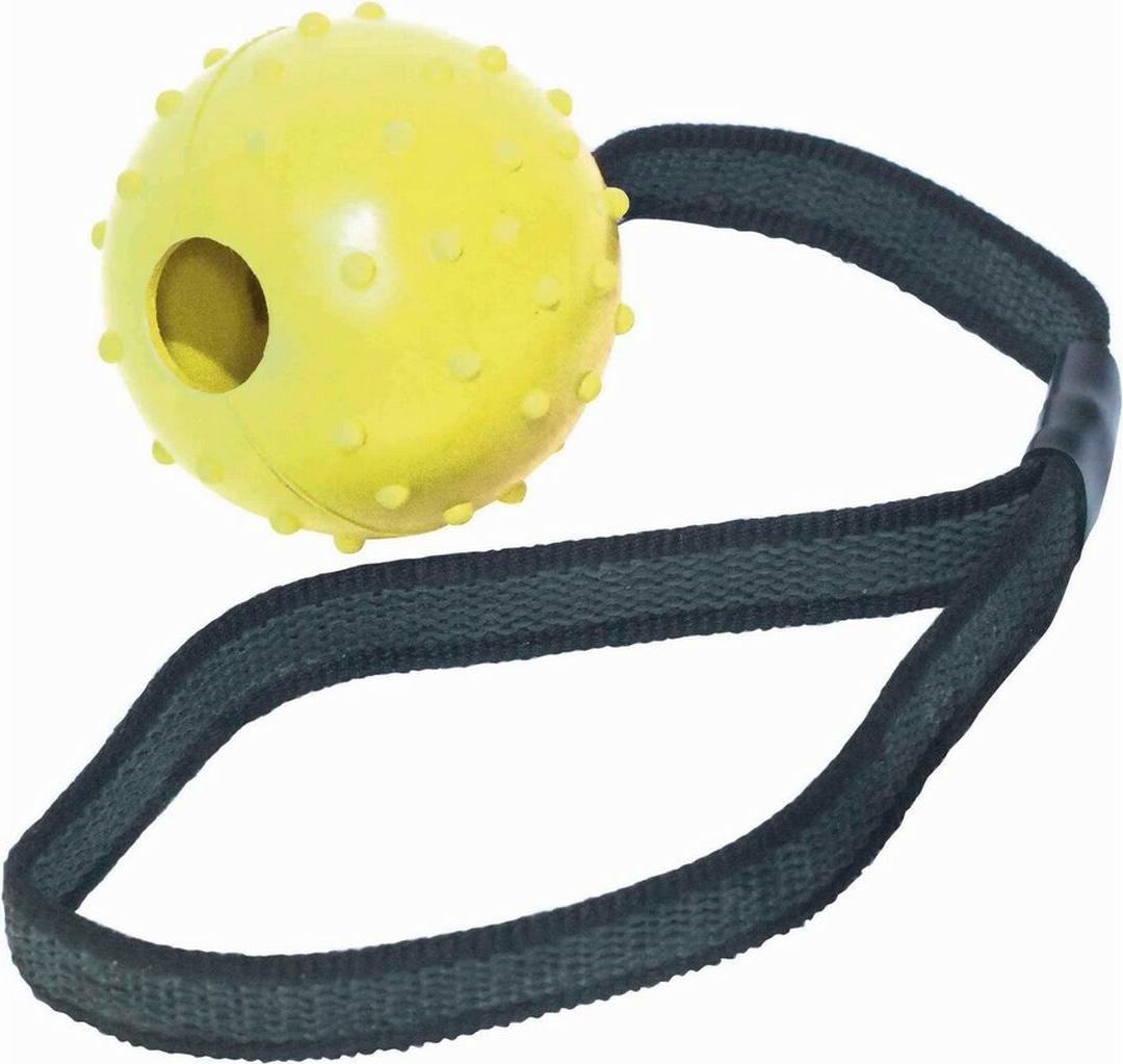 Beißring für Hunde Gloria Mit Seil 6 cm (6 x 30 cm) S6101421