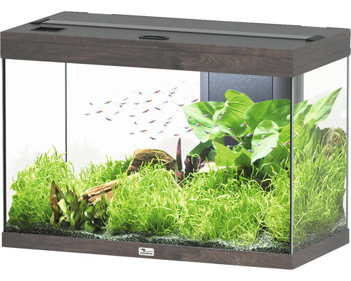 aquarium