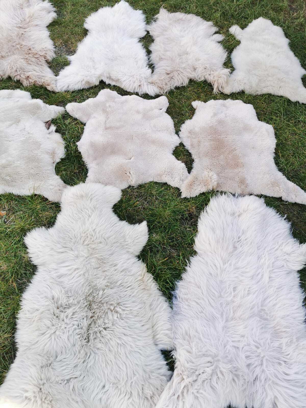 Peau de mouton multicolore XL main image 0