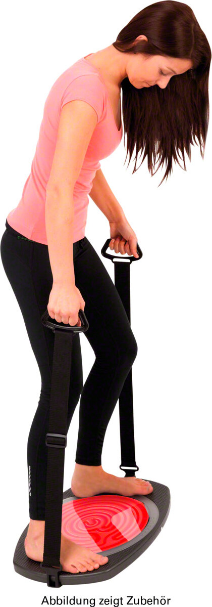 Sport-Tec Haltegurte für Balanco Therapiespiel, Bewegungsspiel, Bewegungstrainer, 58-84 cm 02382