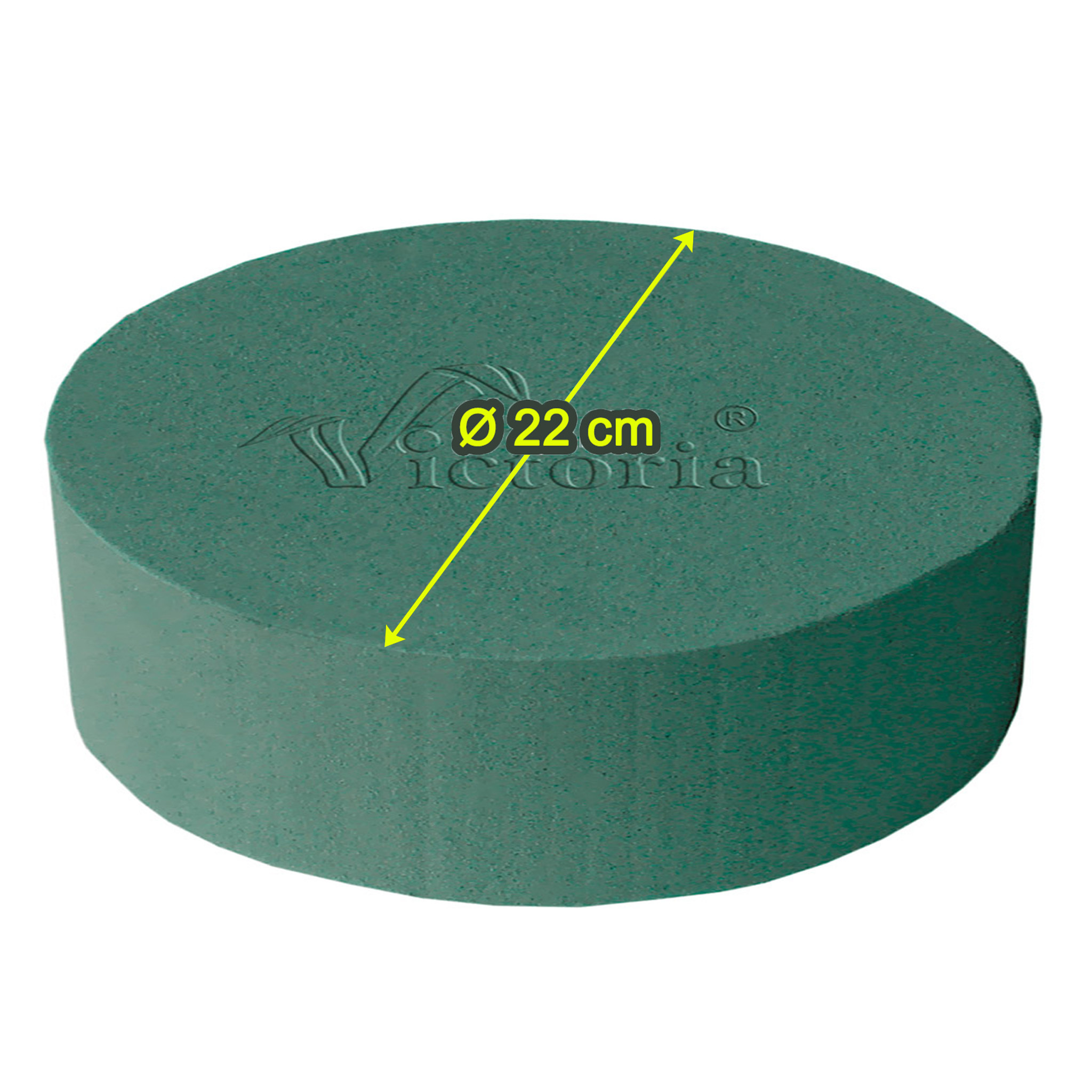 Nass Steckschaum Kranz 30cm | Für Frischblumen & Adventskränze | Grüner Floristen-Schaum