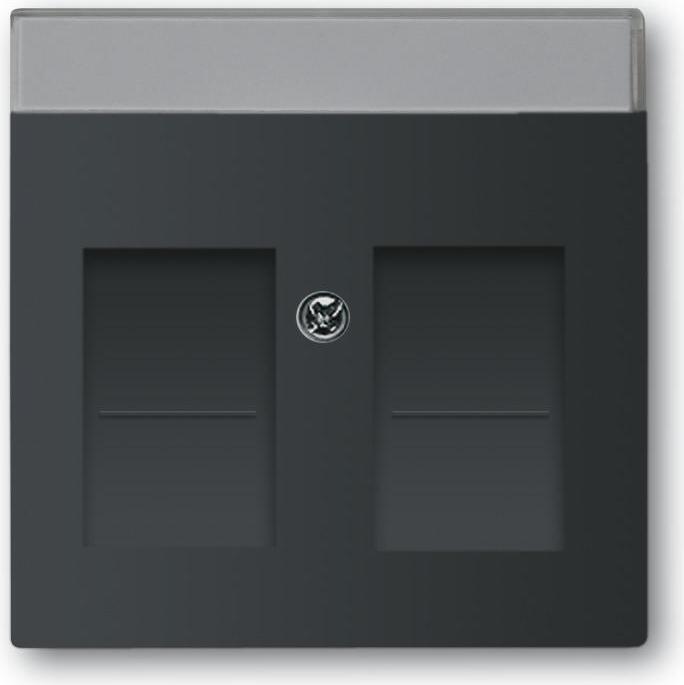 Busch-Jaeger 1800-885 Zentralscheibe, mit Beschriftungsfeld schwarz matt