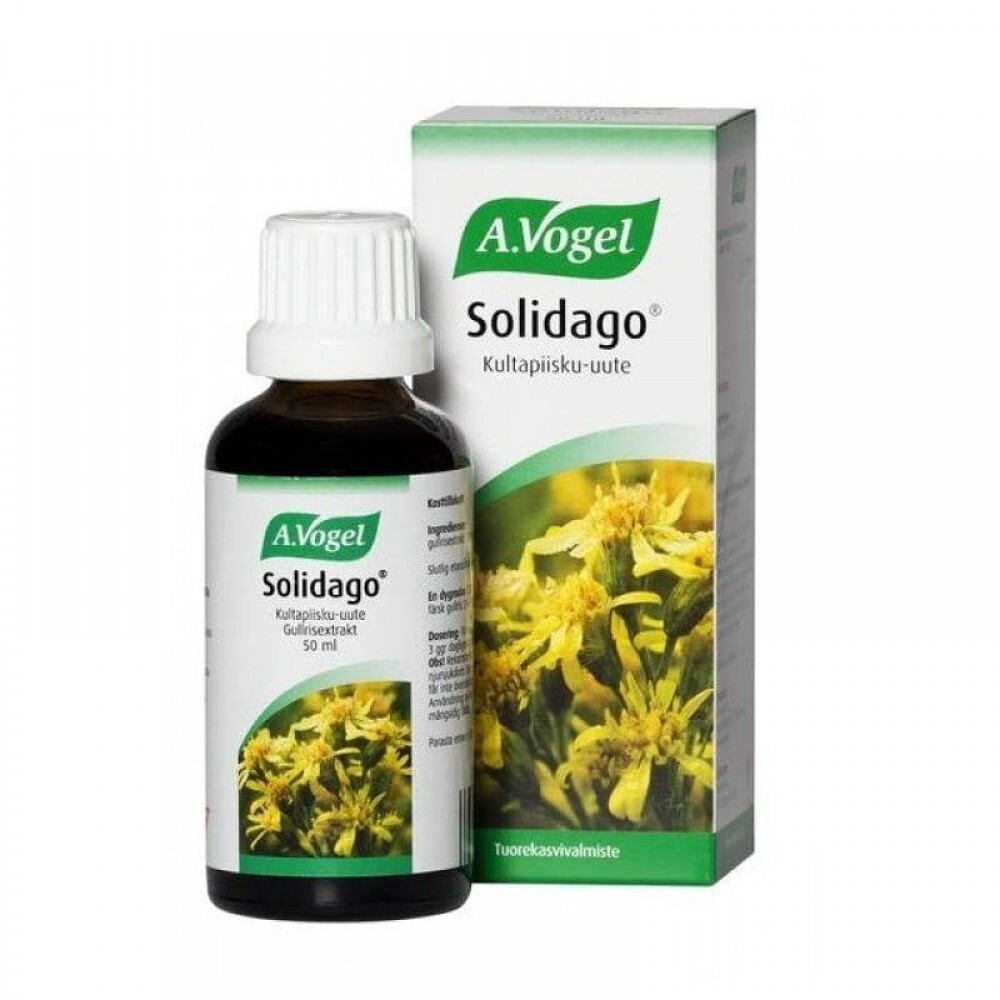 A.VOGEL Solidago Complex (Nephrosolid) Harnverbesserung 50 ml