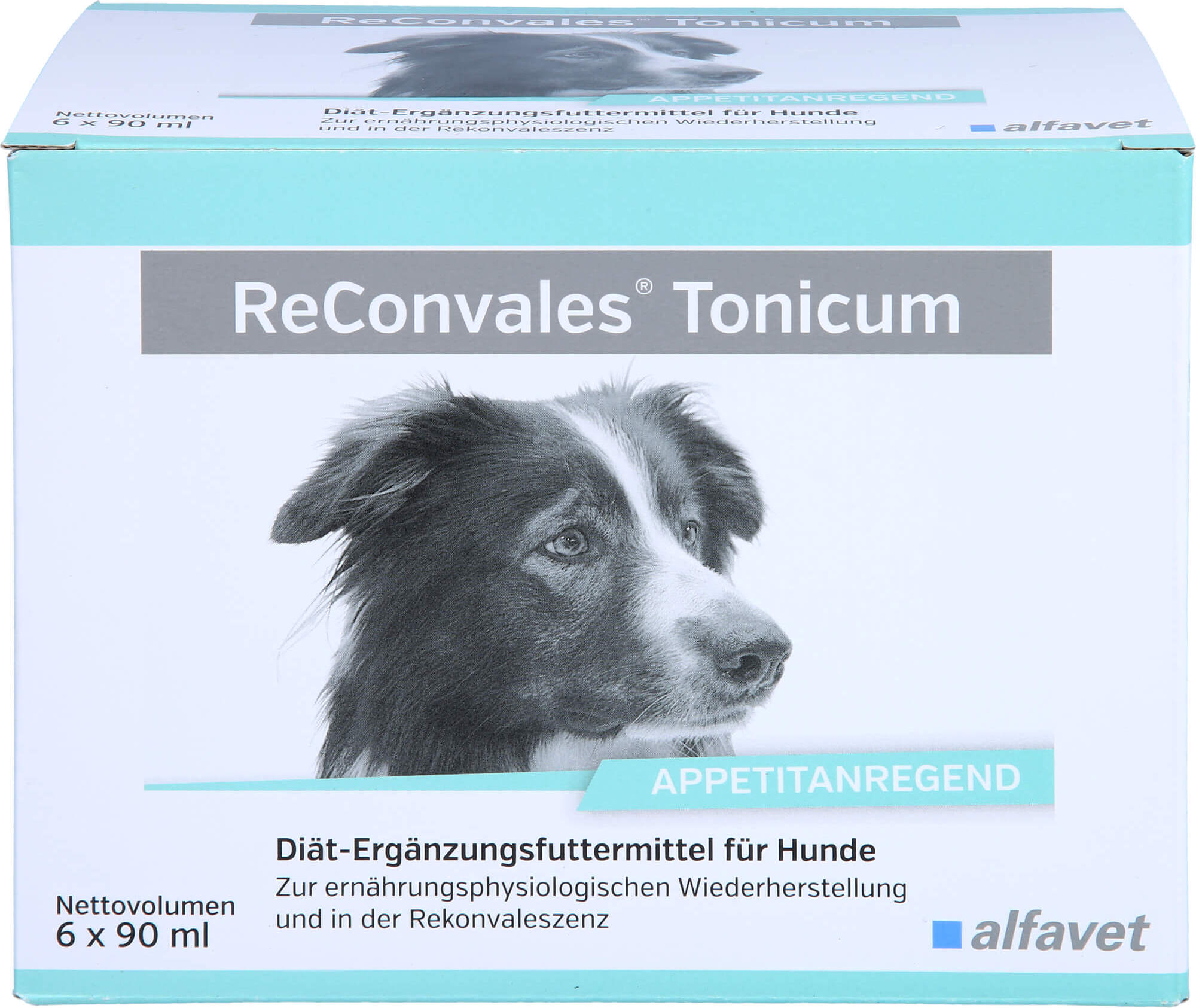 ReConvales Tonicum Hund 6 x 90 ml