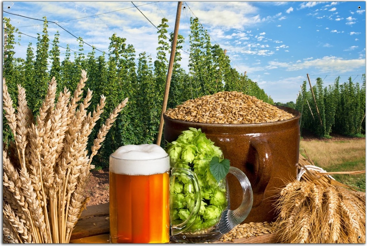 Wallario Outdoor-Poster für Garten oder Balkon, Motiv Frisch gezapftes Bier, Hopfen und Malz, in ca. 61 x 91,50 cm odp5339-61915