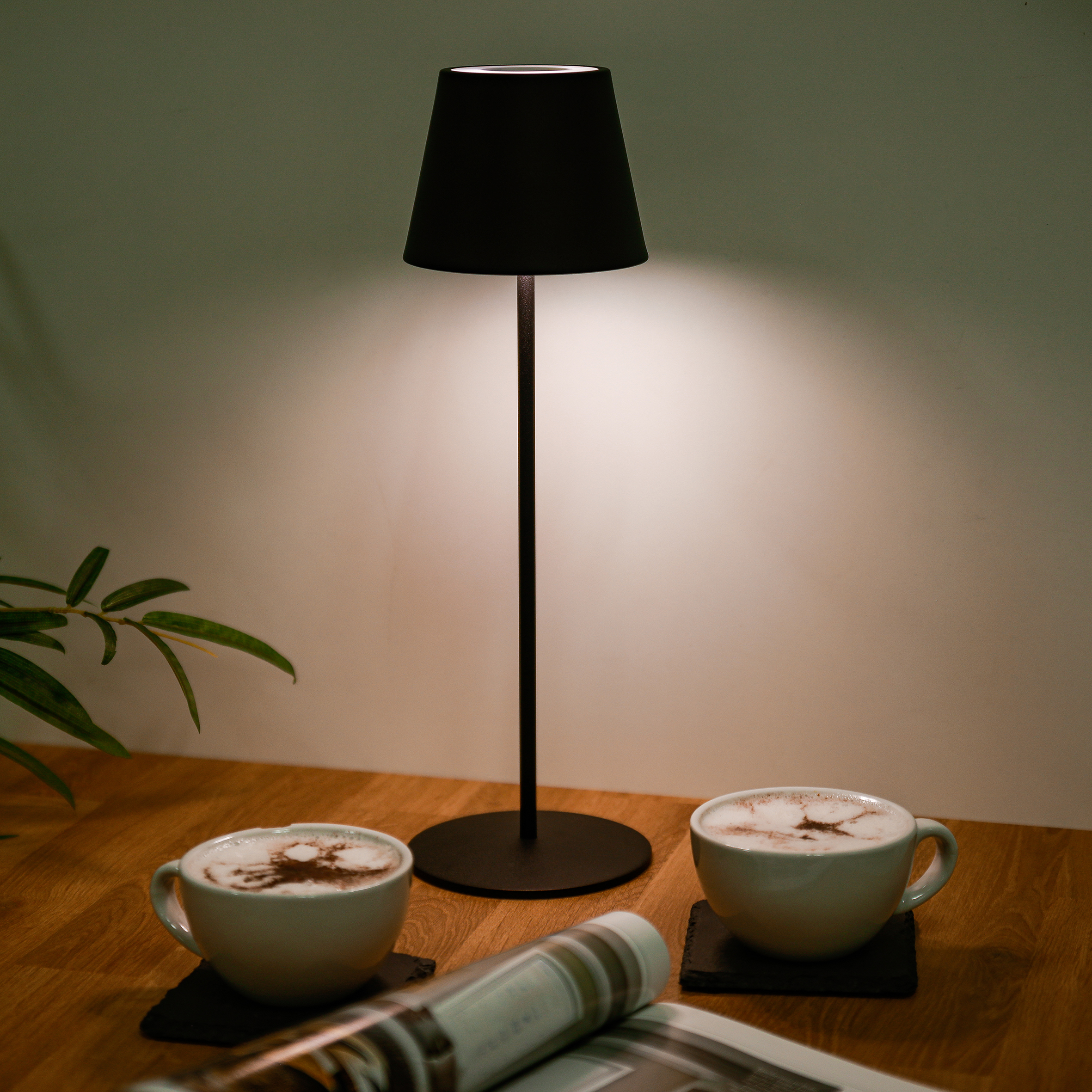 greemotion LED-Tischlampe, schwarz 134885