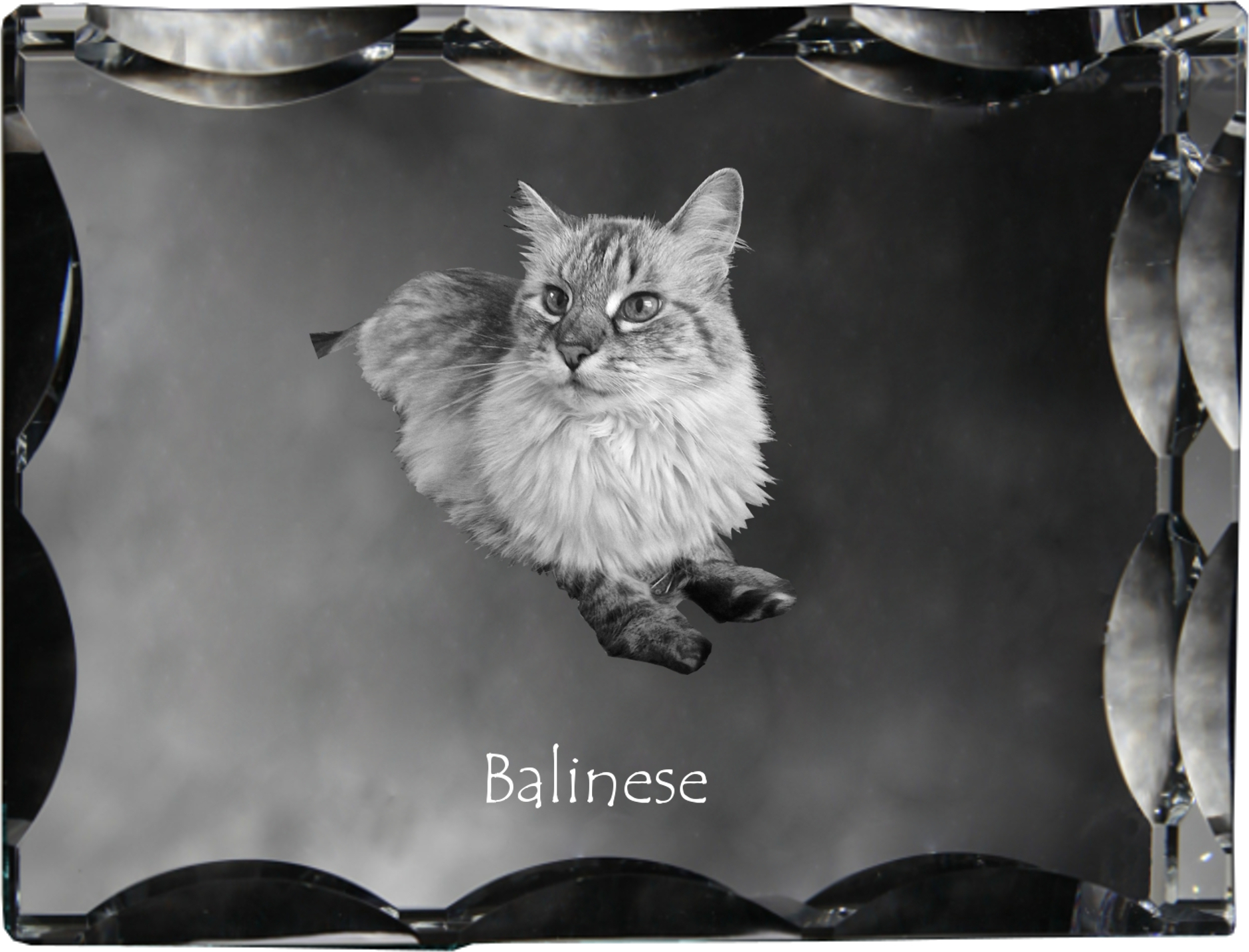 Balinese links - Kristall mit Katzenbild, Glasstatuette mit Bild, einzigartiger Bilderrahmen der Marke Art-Dog