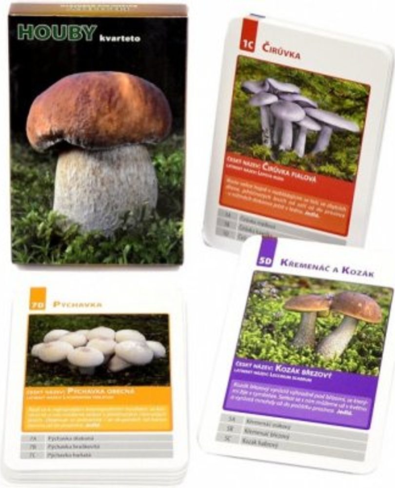 Dino Bikes DINO Quartett Champignons 93312