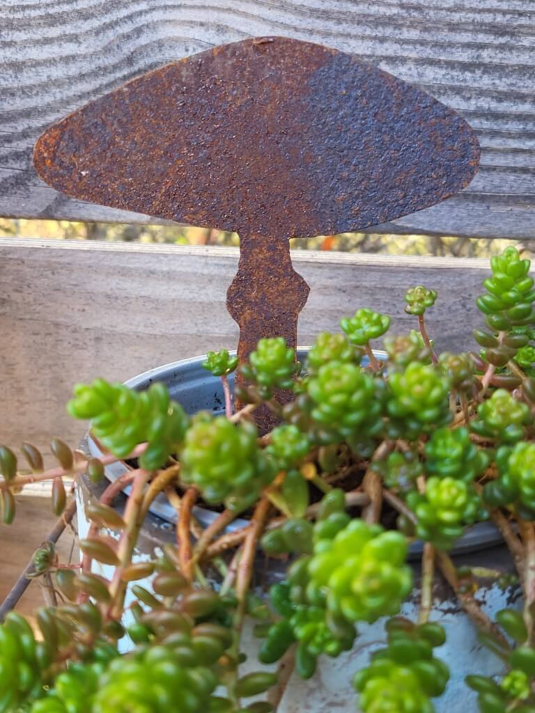 Metalldekoration Walser Edelrost Knollenblätterpilz zum Stecken