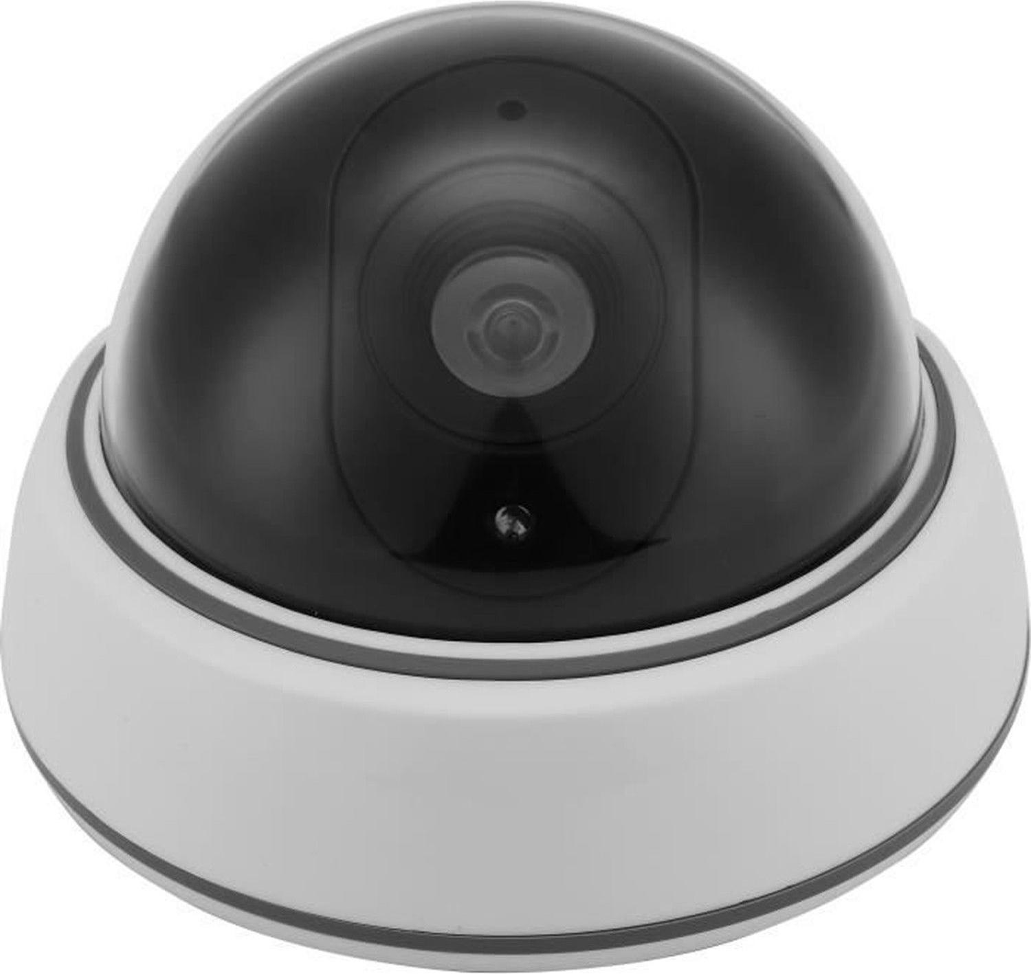 Simulierte Überwachungskamera LINK2HOME