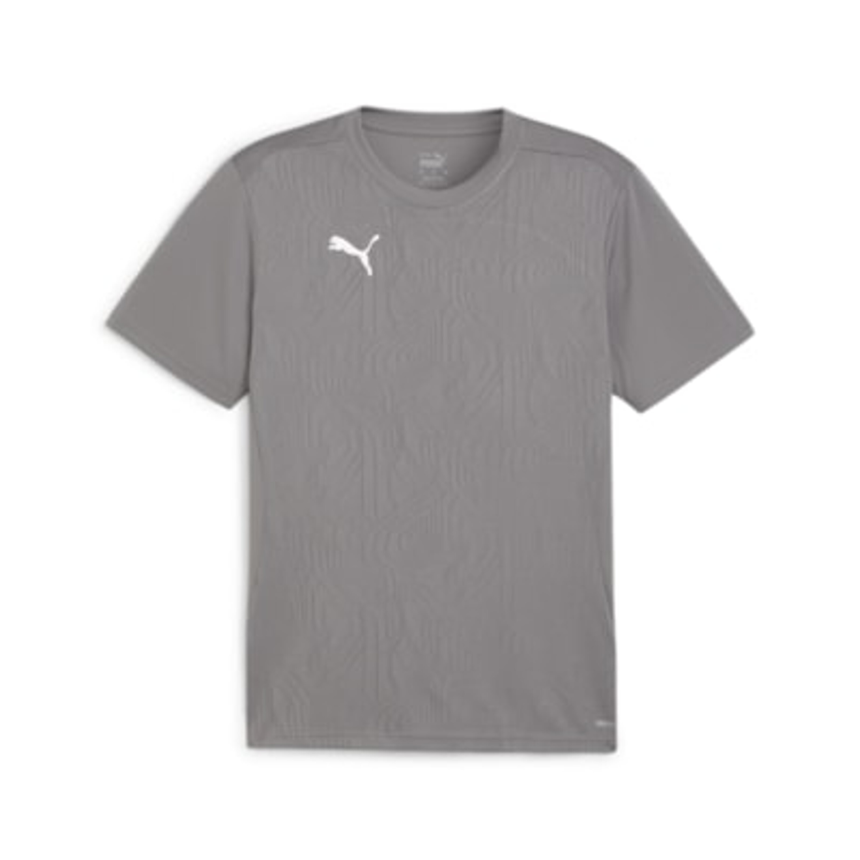 Puma Teamfinal T-Shirt Herren - Grau A-108079